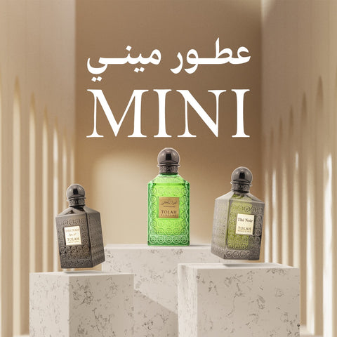 Mini Perfume Set – 6 Bottles